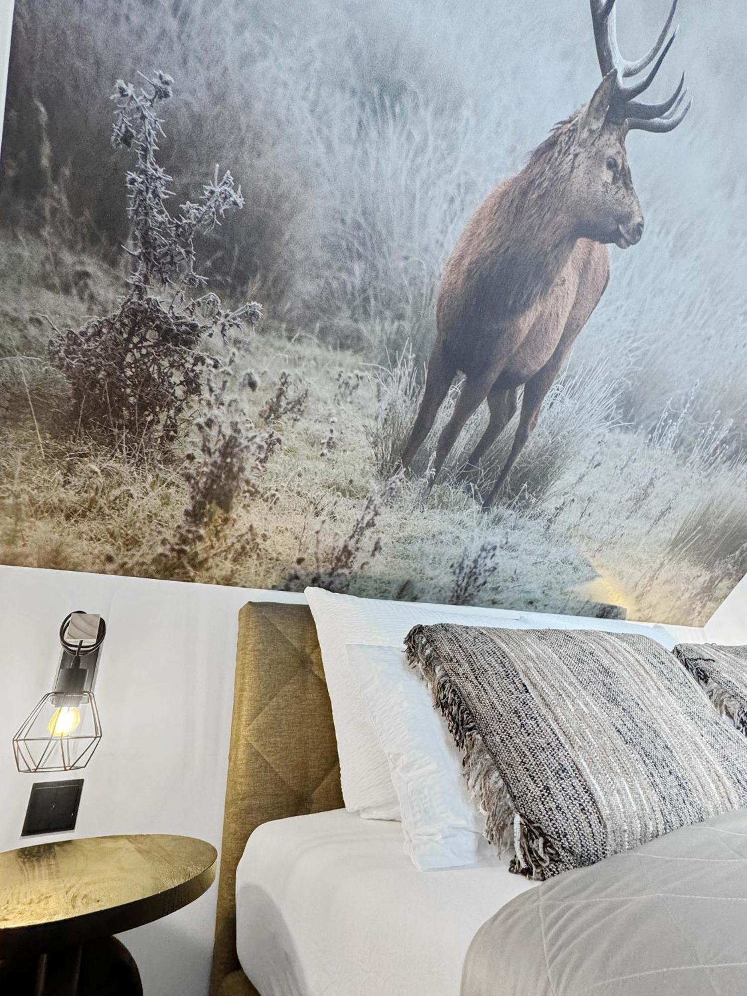 Cblue: Seeblick, Kamin, Wallbox, Natur Bentwisch Εξωτερικό φωτογραφία